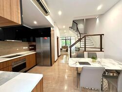 Holland Link (D10), Terrace #593107761